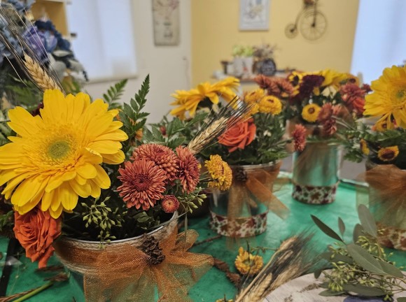 Several potted flowers