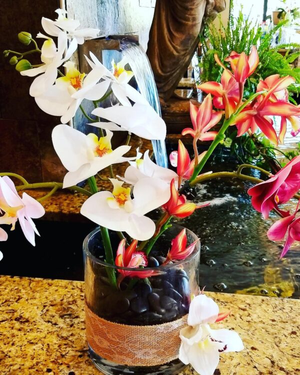 Forever Orchid Arrangement