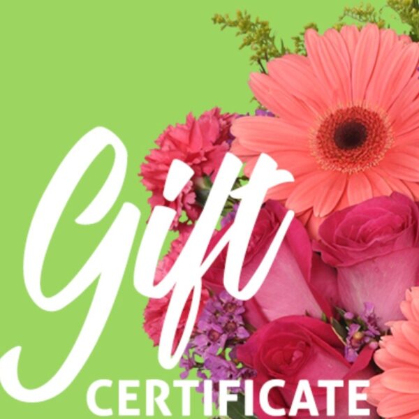 Gift Certificate